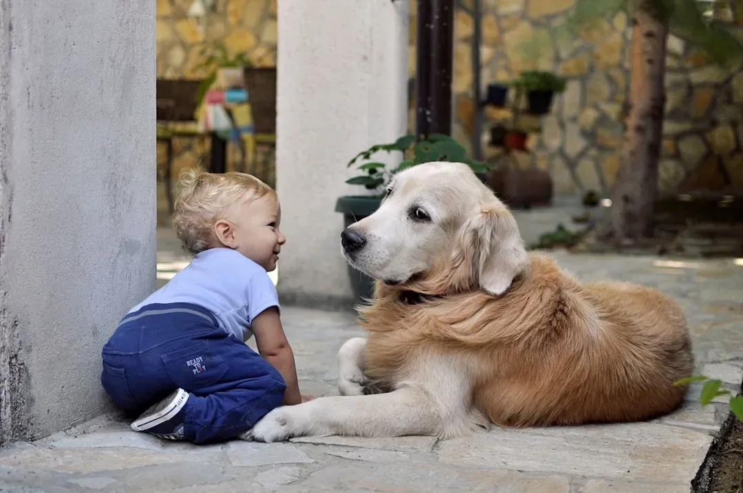 #2 - The First Time the Dog Guarded "Their" Kid (Image Credits: Unsplash)