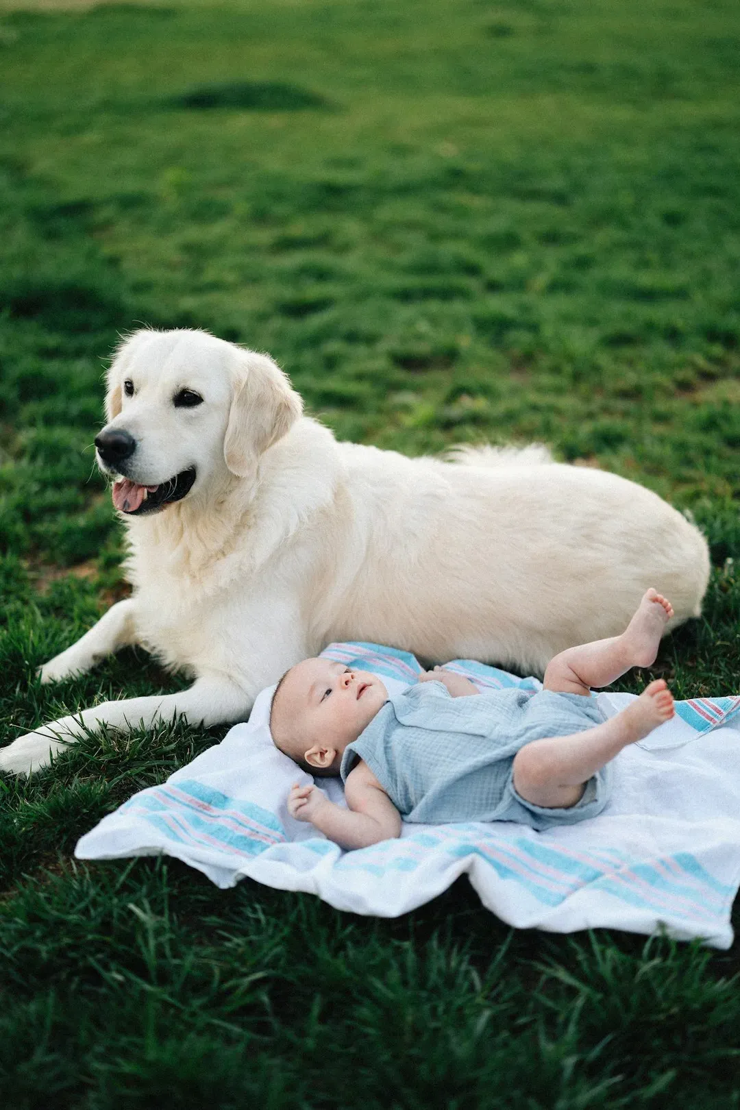 The Reality of Size and Strength (Image Credits: Unsplash)