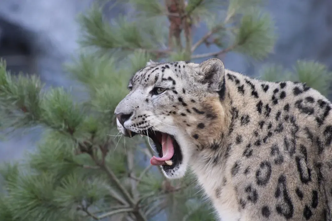 #4. They Cannot Roar (Image Credits: Unsplash)