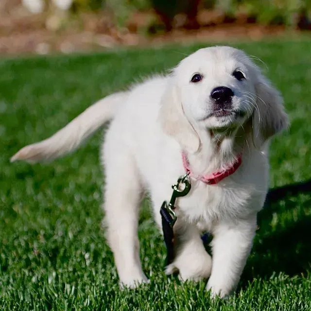 Communication Goes Beyond Words (Image Credits: Flickr)