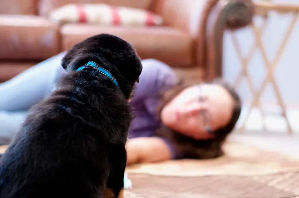 Pisces: The Empathetic Dreamer (Image Credits: Flickr)