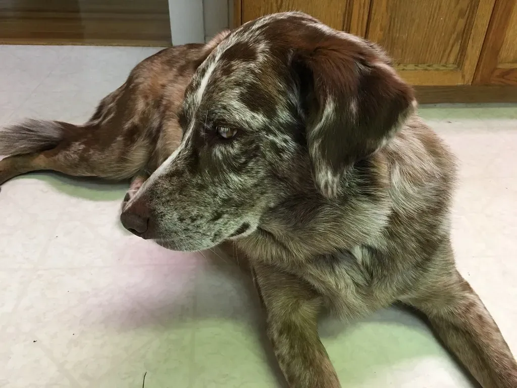 Managing Anxiety Through Predictable Departures and Returns (Image Credits: Flickr)