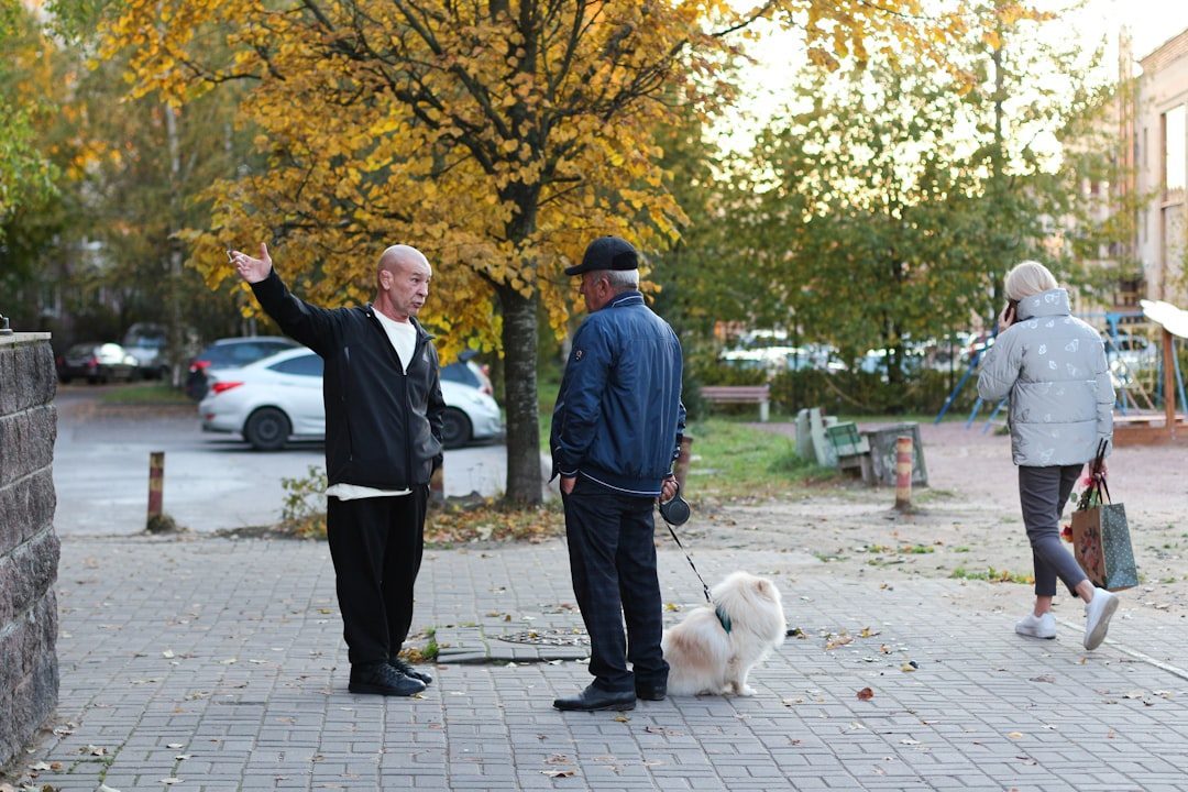 Misconception #4: Senior Dogs Are Less Social and Prefer Isolation (Image Credits: Unsplash)