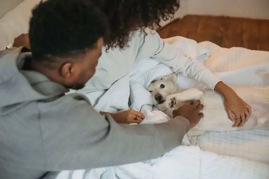 3. Seeking Morning Cuddles (Image Credits: Pexels)