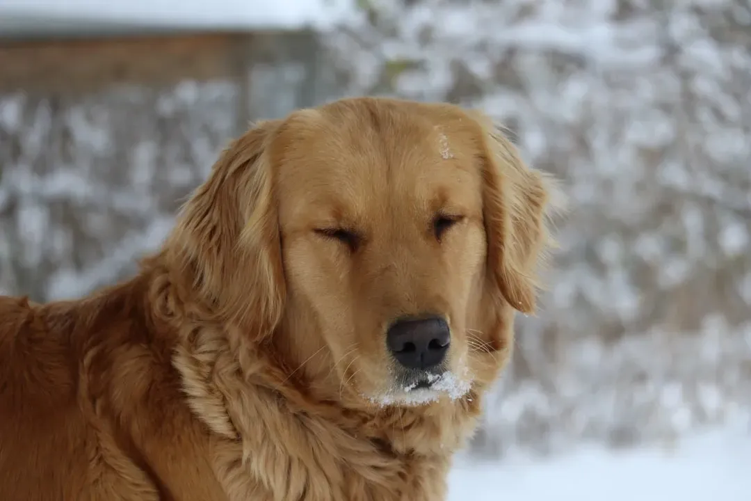 Freezing in Place Like a Statue (Image Credits: Unsplash)