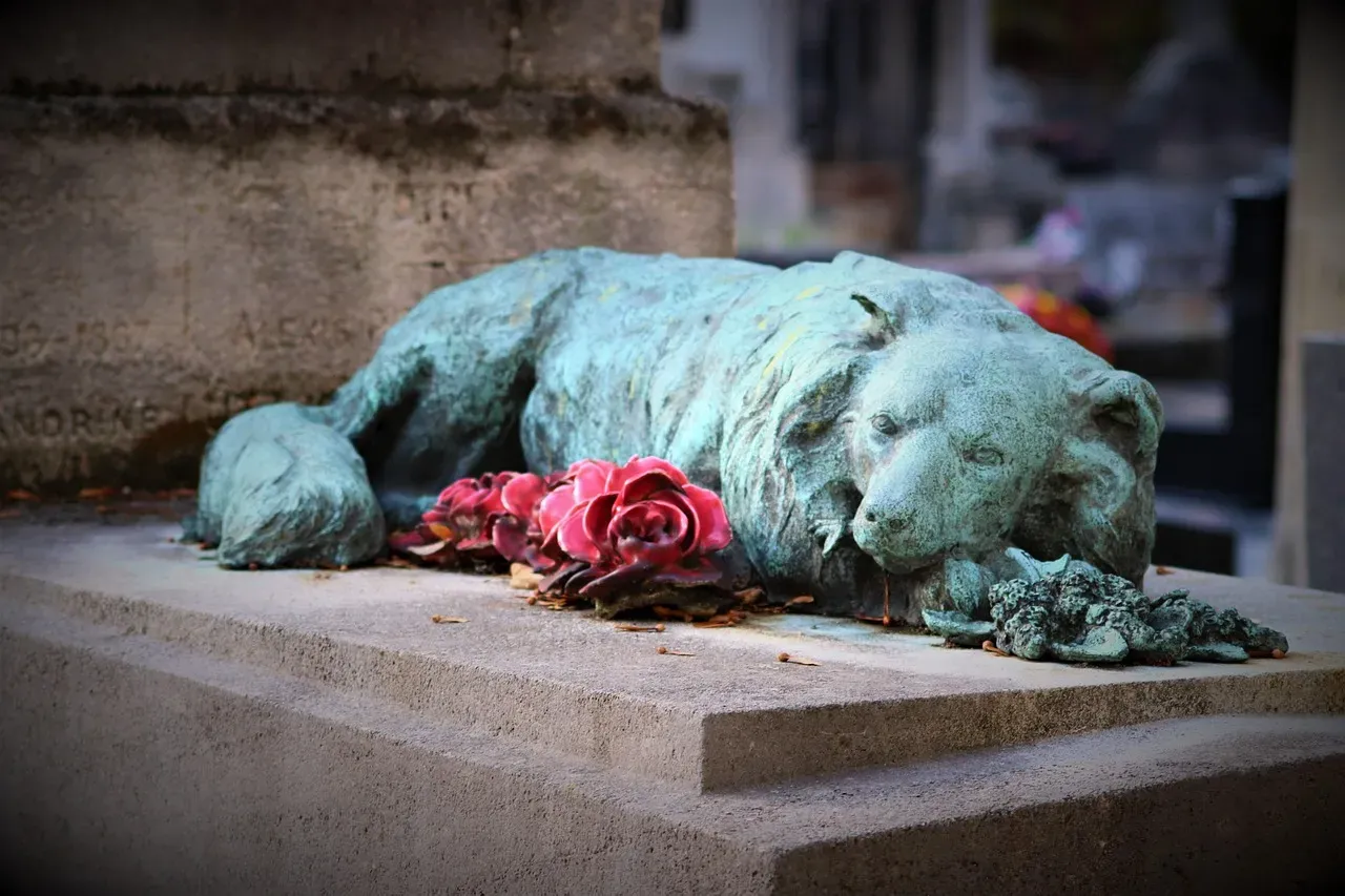 Letting That Last Look Change How You Remember Their Life (Image Credits: Pixabay)