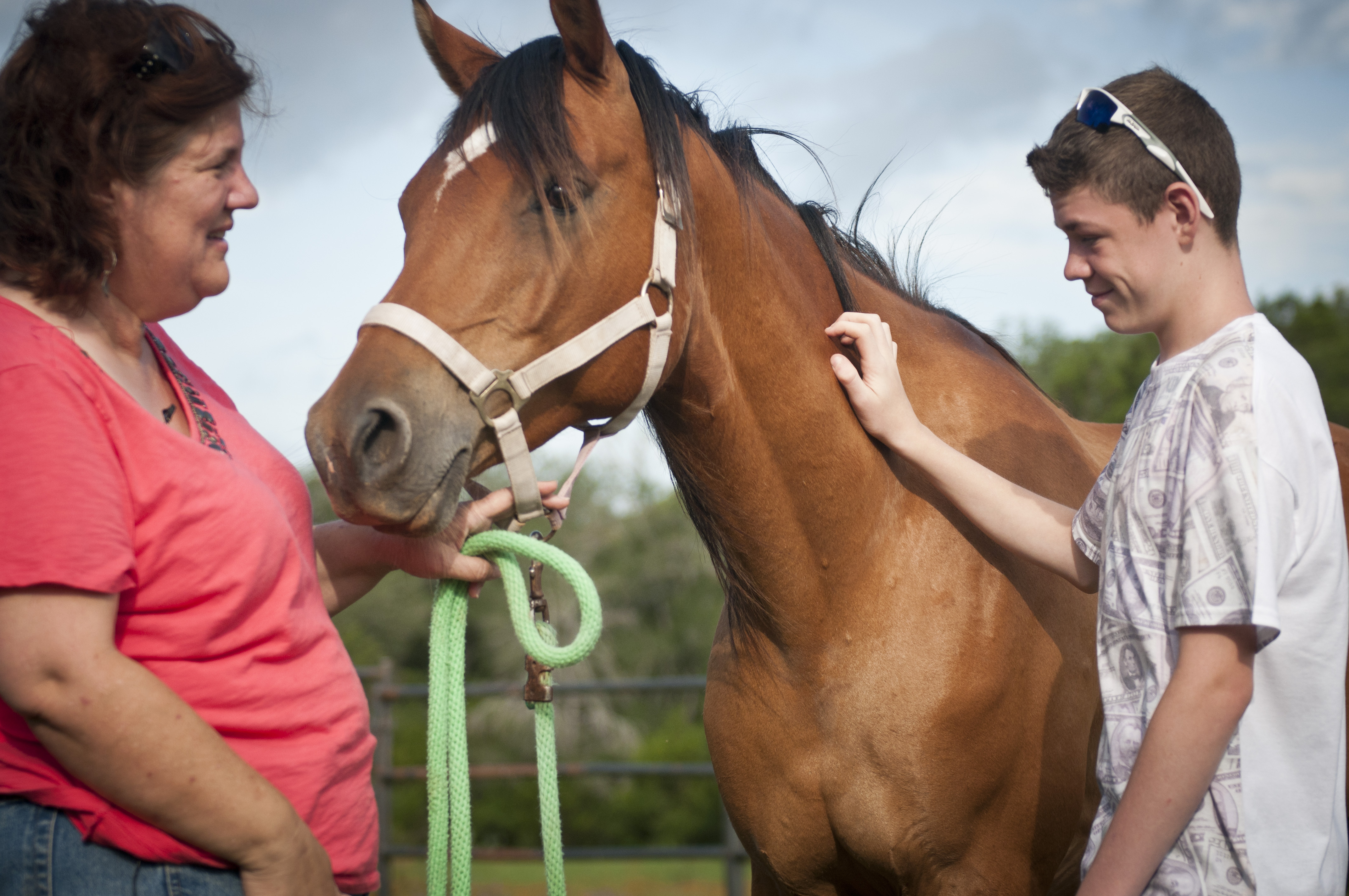 The Transformation of Emotional Intelligence in Humans (Image Credits: Wikimedia)