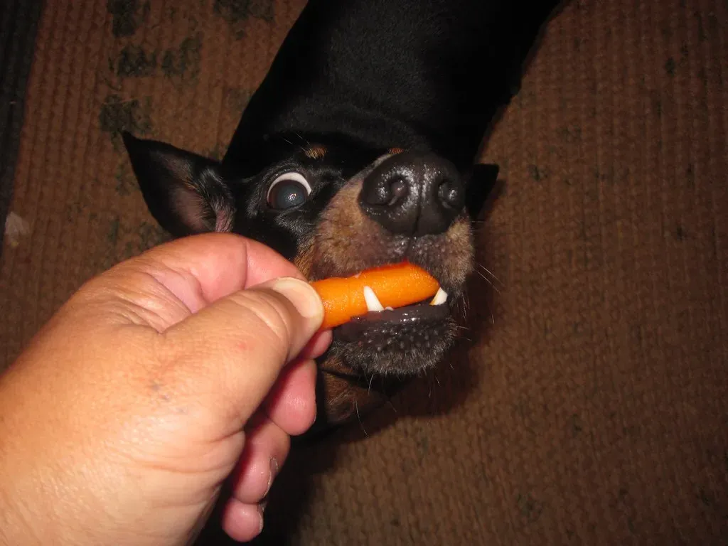 Portion Control and Potential Pitfalls (Image Credits: Flickr)