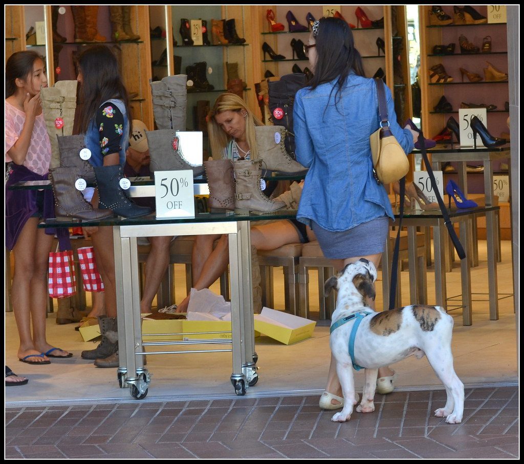 Terrible Timing That Teaches the Wrong Lessons (Image Credits: Flickr)