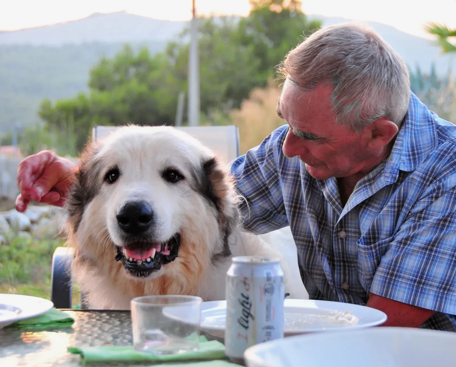 Choosing Your Gentle Giant Wisely (Image Credits: Wikimedia)