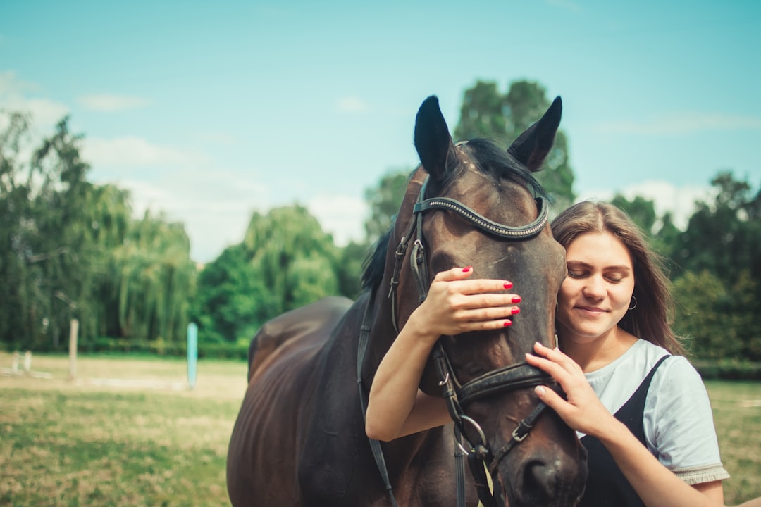 Trauma and Healing: Horses as Emotional Healers (Image Credits: Unsplash)