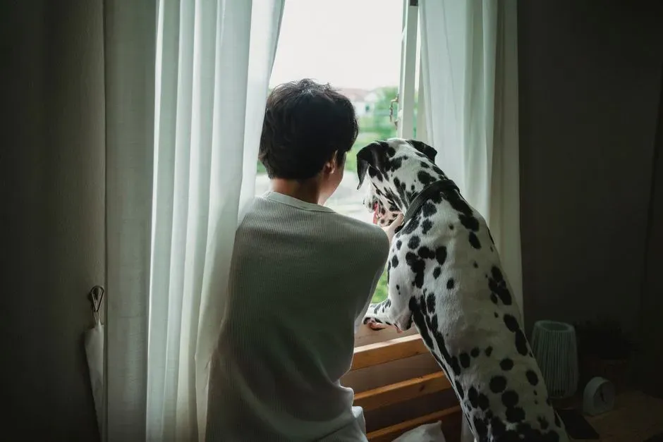 How Dogs Detect Shifts in Human Emotion (Image Credits: Pexels)