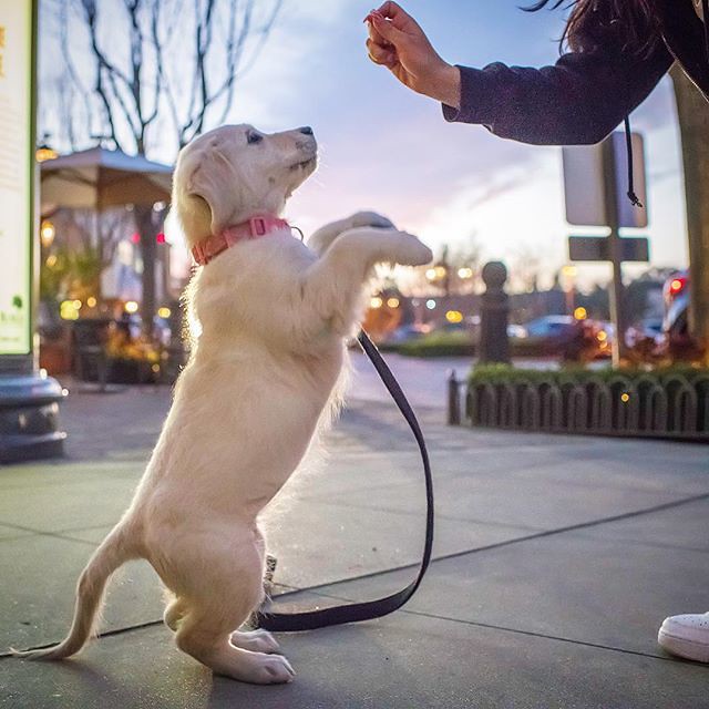 Health Benefits of Consistent Routines (Image Credits: Flickr)