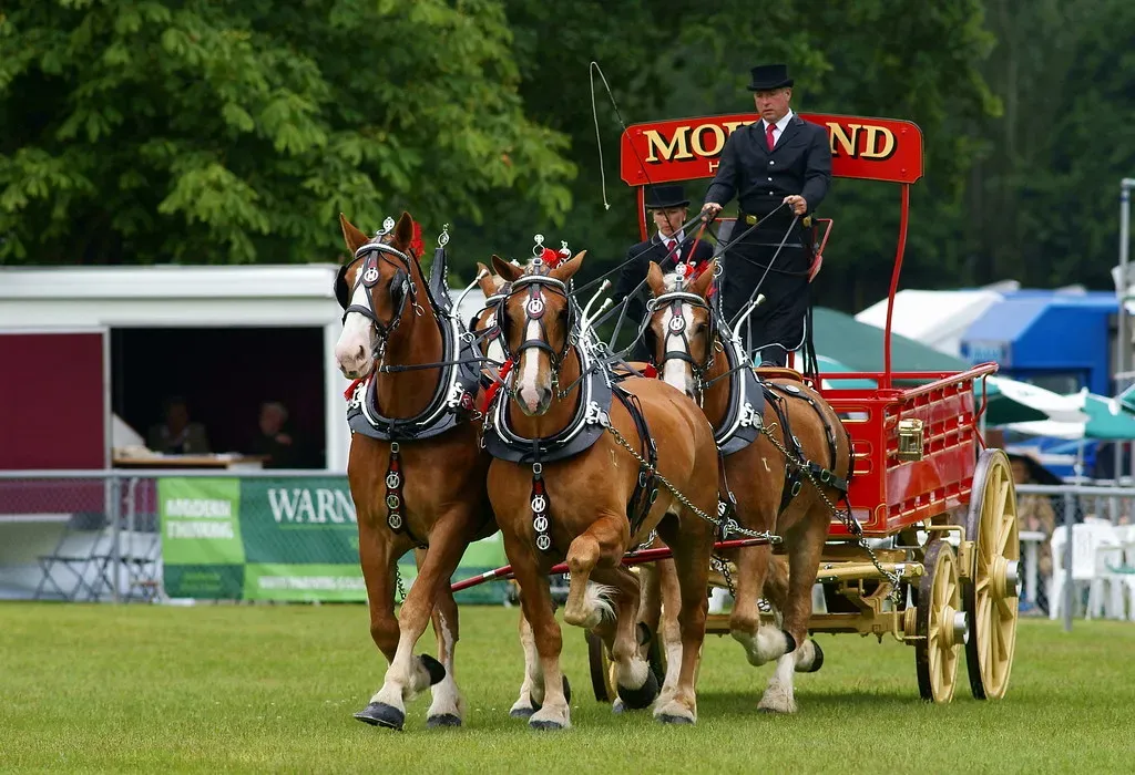 Turnout Time Supports Natural Behavior (Image Credits: Flickr)