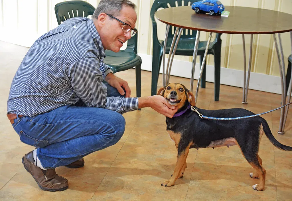 5. Shop Smarter for Food, Medications, and Supplies (Image Credits: Flickr)