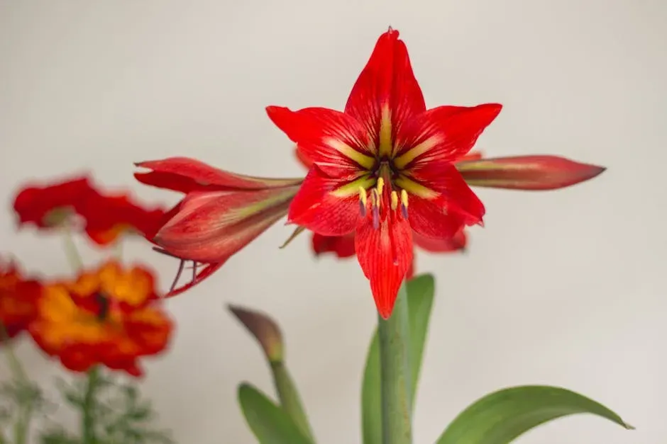 11. Amaryllis: The Bold Bulb That Deserves Caution (Image Credits: Pexels)