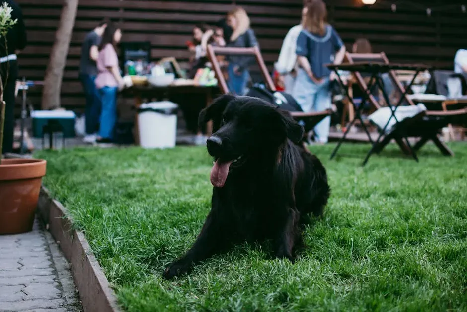 Sign #10: They're Relaxed Around Other People and Dogs (Image Credits: Pexels)