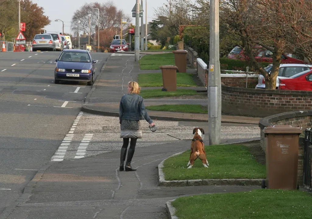 #4 - The Overlooked Sniff Stop You Tried to Rush (Flickr: Dog having a pee, CC BY 2.0)
