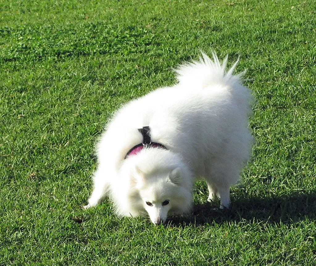 Conclusion (Image Credits: Flickr)