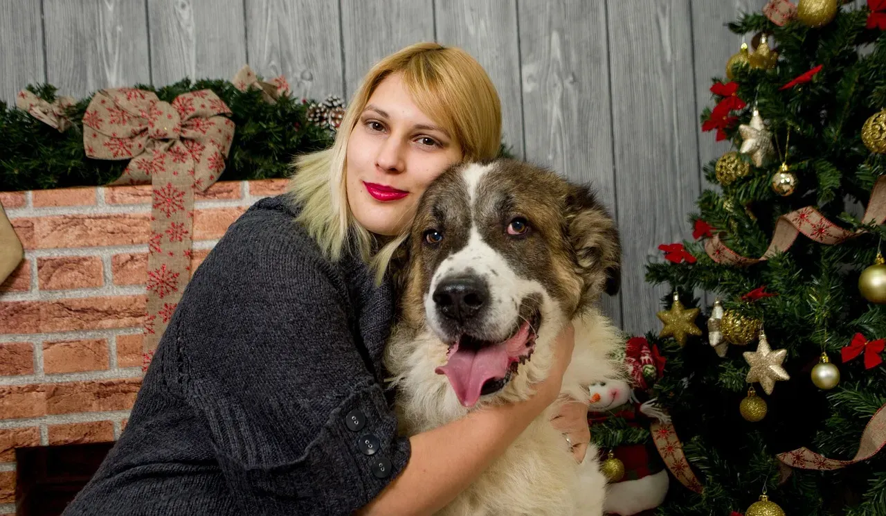 Conclusion: It’s Not Just the Dog – It’s the Relationship (Image Credits: Pixabay)