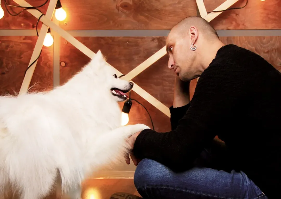 The Grooming Session: Bonding Disguised as a Chore (Image Credits: Unsplash)