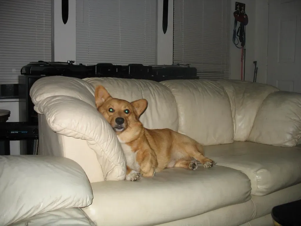 She May Also Be Playing You - A Little (nikoretro, Flickr, CC BY-SA 2.0)