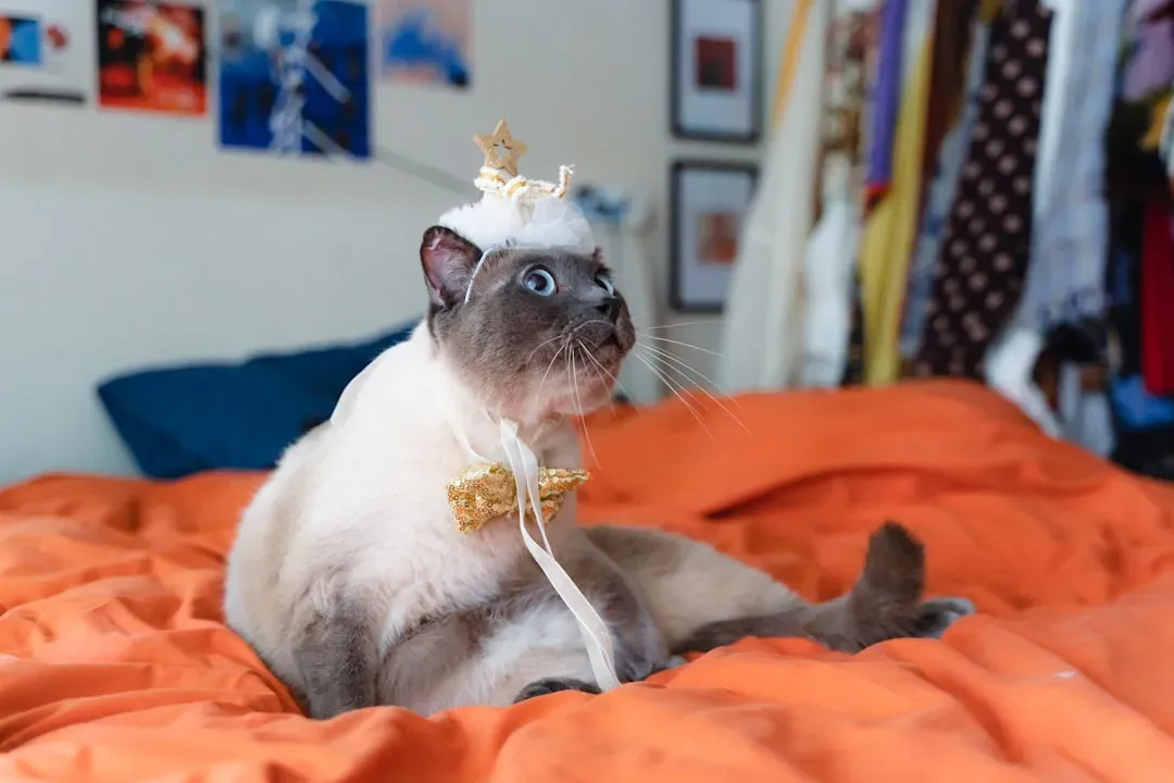 Leo: Demanding the Spotlight and Devotion (Image Credits: Unsplash)