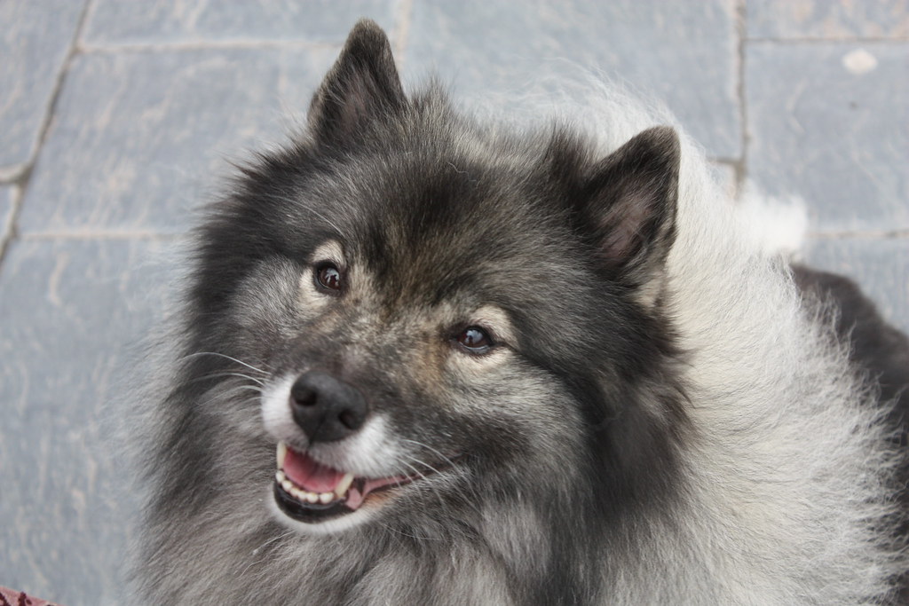 Conclusion (Image Credits: Flickr)