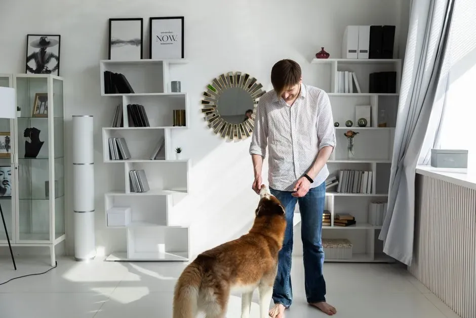 #9: Your Pet’s Environment Affects Their Health More Than You Realize (Image Credits: Pexels)