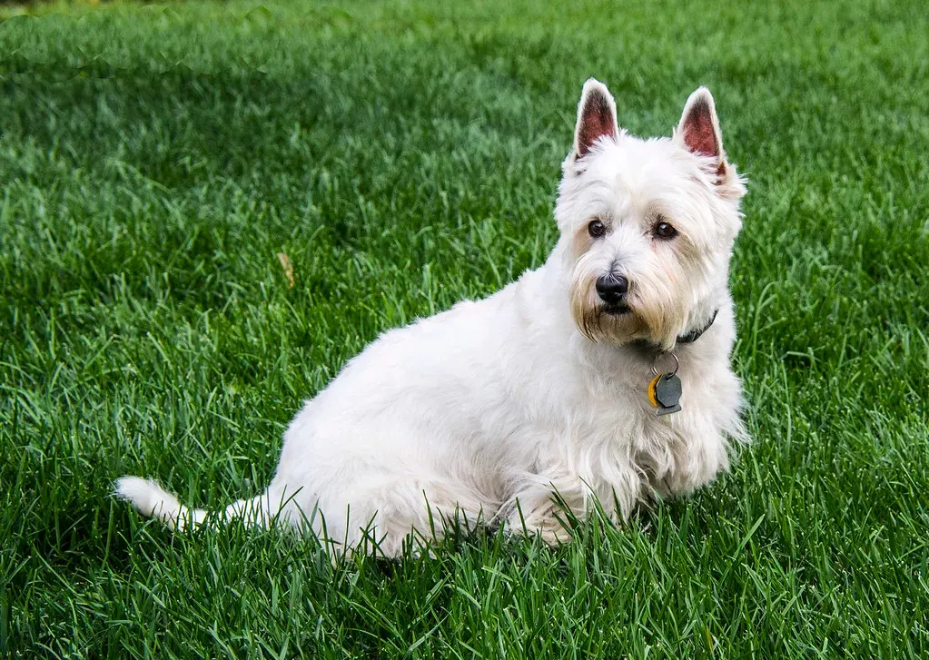 Consistency Matters More Than You Think (Image Credits: Flickr)