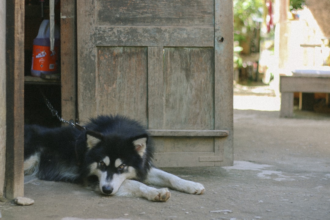 The Importance of Staying Under Threshold (Image Credits: Unsplash)