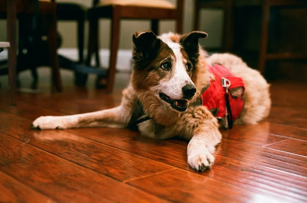 There May Be a Health Issue You Haven't Noticed (Image Credits: Flickr)