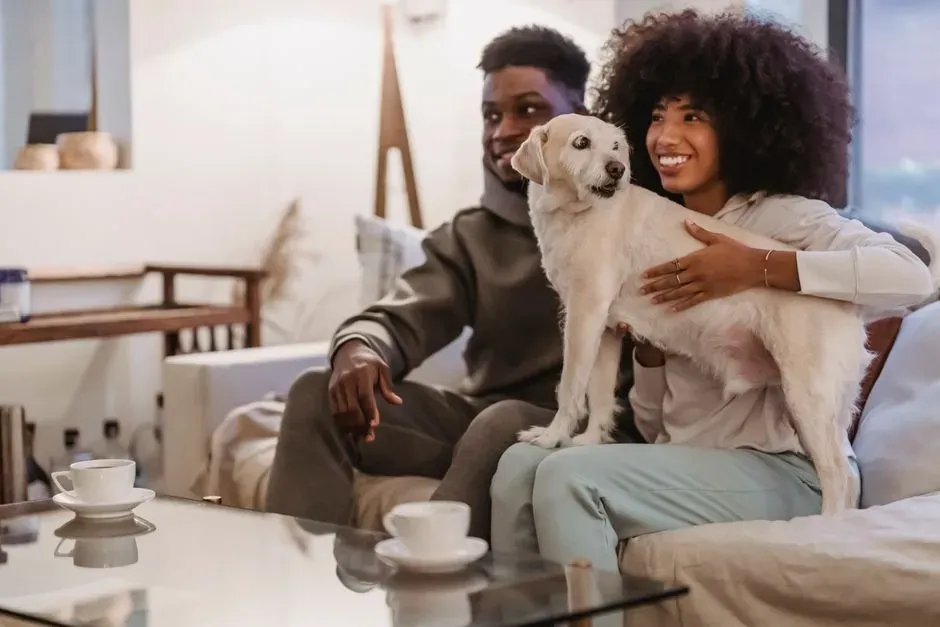 #11 What's Your Honest Take on My Dog's Quality of Life Right Now? (Image Credits: Pexels)