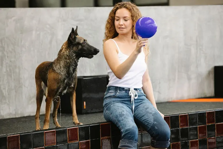 Listening, Not Just Treats: Why Attention Matters More Than Rewards (Image Credits: Pexels)