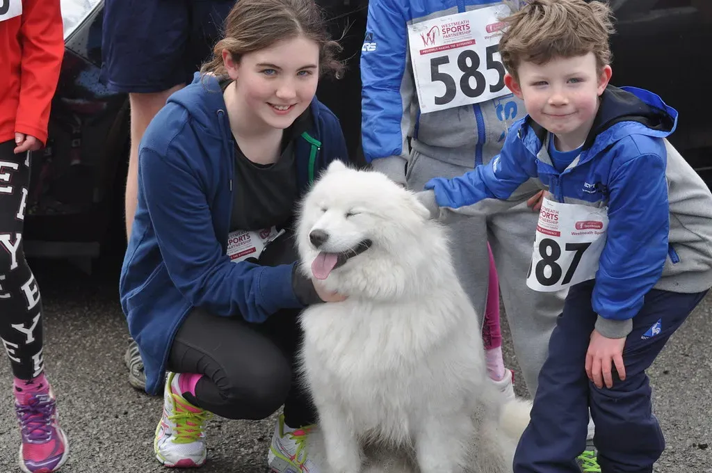 Creating Balance for a Happier Pup (Image Credits: Flickr)