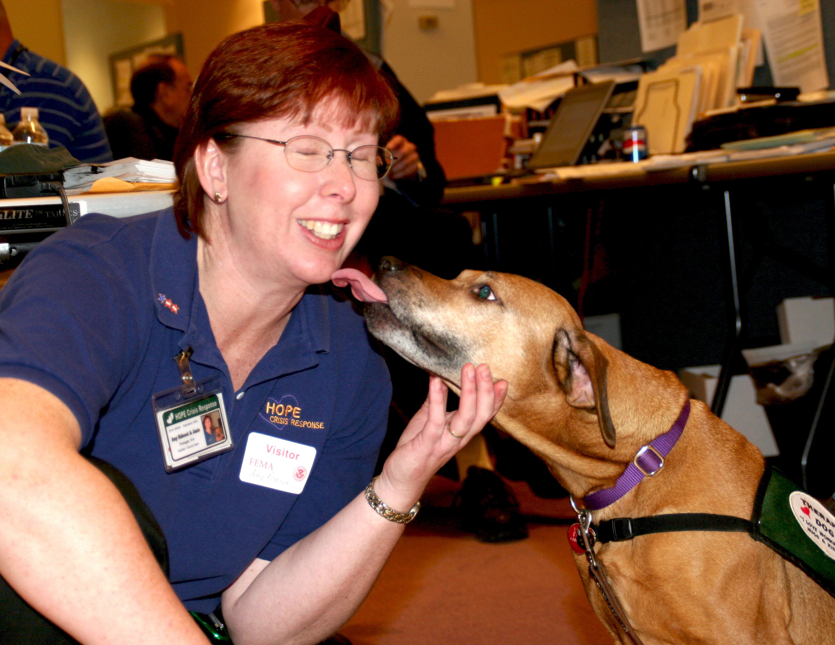 Stress Relief That Actually Works (Image Credits: Wikimedia)