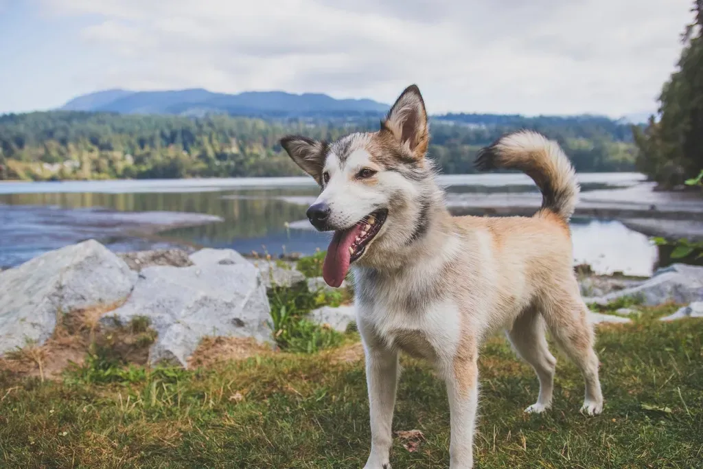 #3 - The First Few Seconds of Standing Still (Image Credits: Rawpixel)