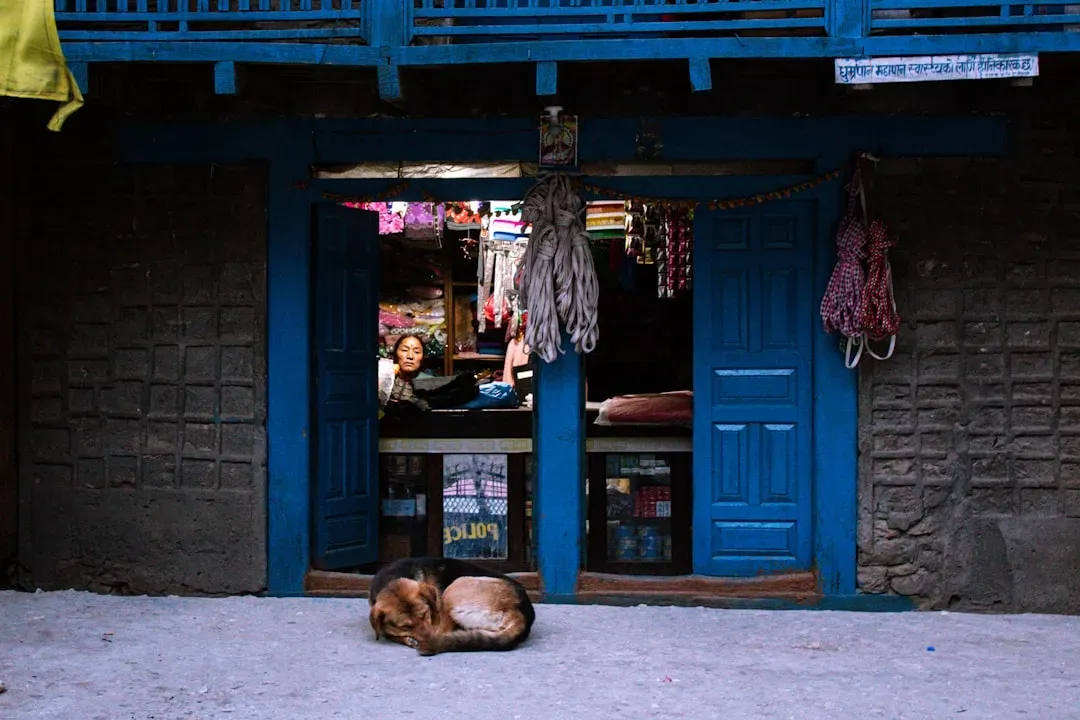 Why Sleeping by the Door Often Means They Trust You, Not That They Distrust Home (Image Credits: Unsplash)