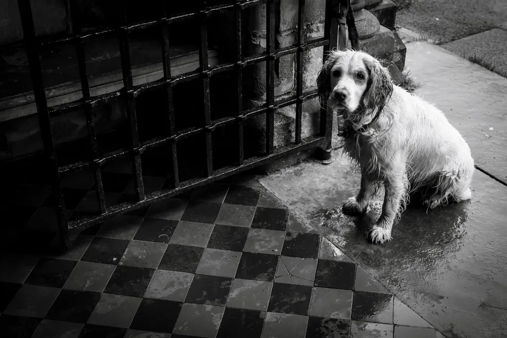 #11: Lasting Trauma That Follows Them Forward (Image Credits: Rawpixel)