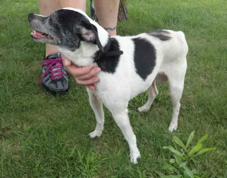 2. Gentle, Intentional Physical Touch on Their Terms (Image Credits: Flickr)