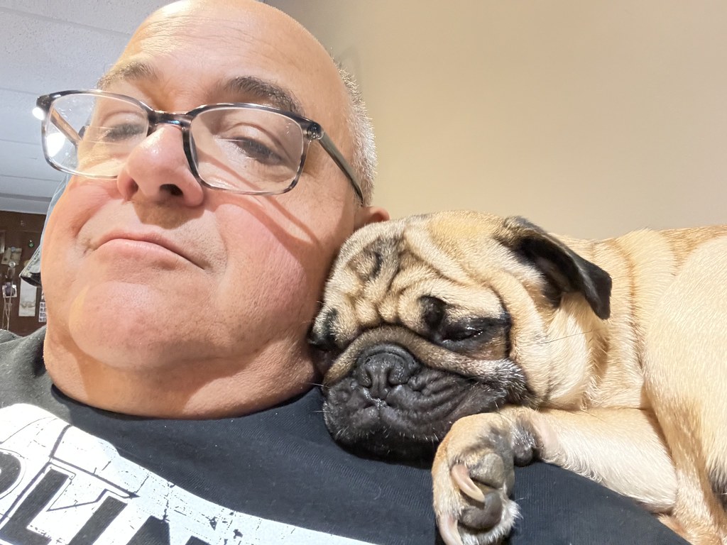 Your Pug Is Actually a Velcro Dog in Disguise (Image Credits: Flickr)