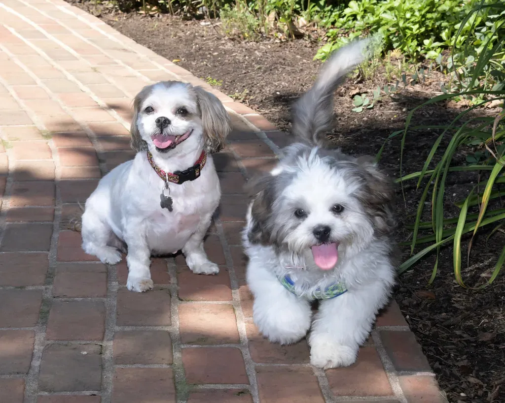 Conclusion: Every Reunion Is a Gift (MDGovpics, Flickr, CC BY 2.0)