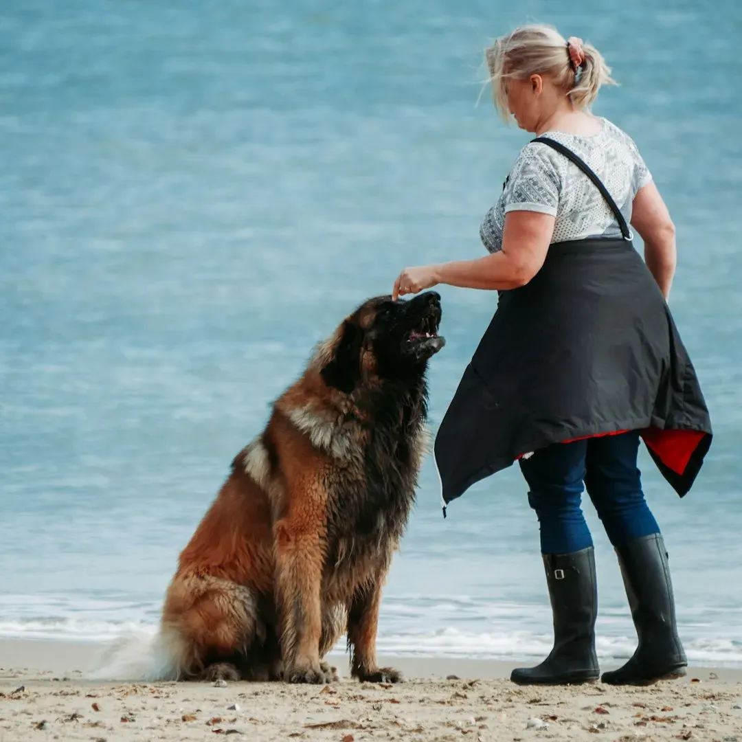 Conclusion: The Right Dog Is Waiting for You (Image Credits: Unsplash)