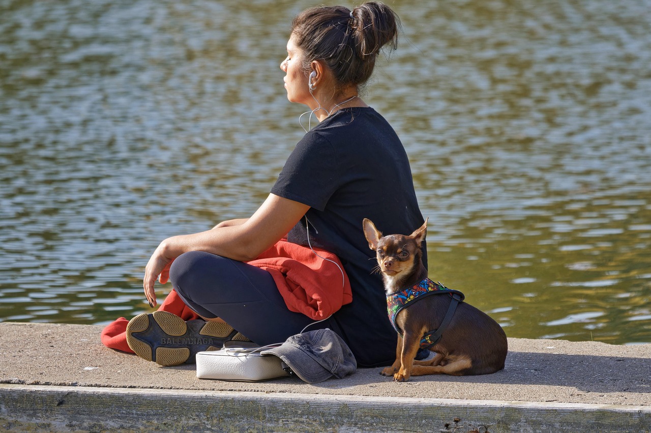 The Science Behind Your Dog's Voice Preferences (Image Credits: Pixabay)