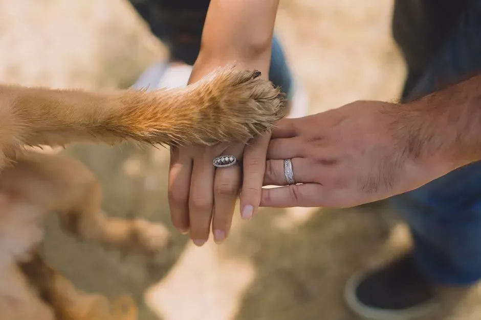 #13 – The Last Gentle Paw on Your Leg (Image Credits: Pexels)