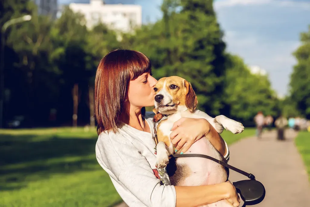 5. Beagle: The Cheerful Little Mood-Lifter (Artem Beliaikin, Flickr, CC BY-SA 2.0)