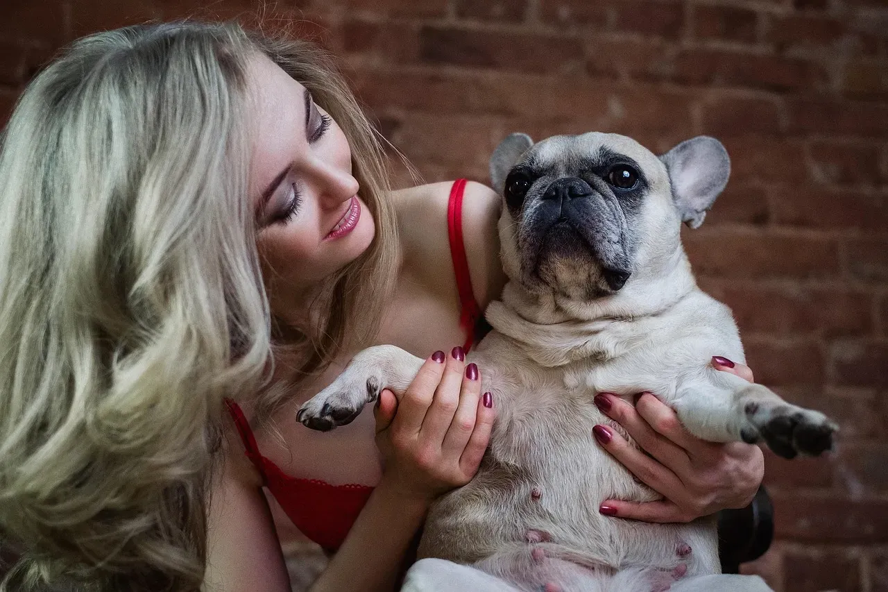 Happy Voices, Happy Brains: What Dogs Actually Respond To (Image Credits: Pixabay)