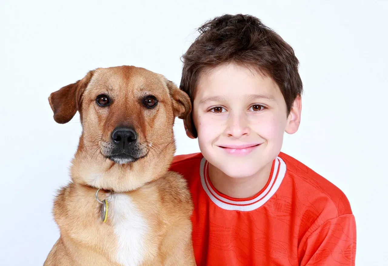 What This Means for the Bond You Have With Your Dog (Image Credits: Pixabay)