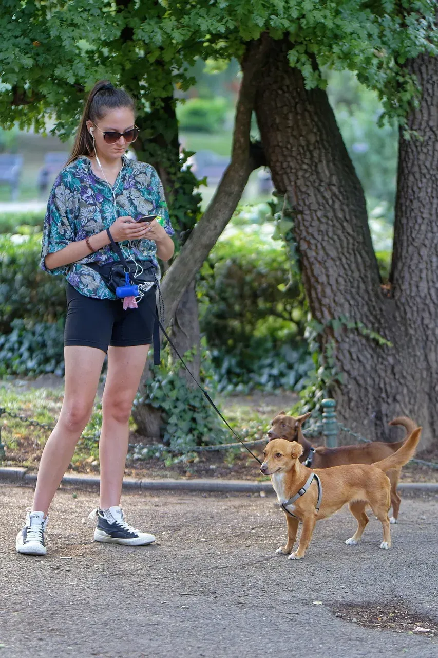 Staying Glued to Your Phone the Whole Time (Image Credits: Pixabay)