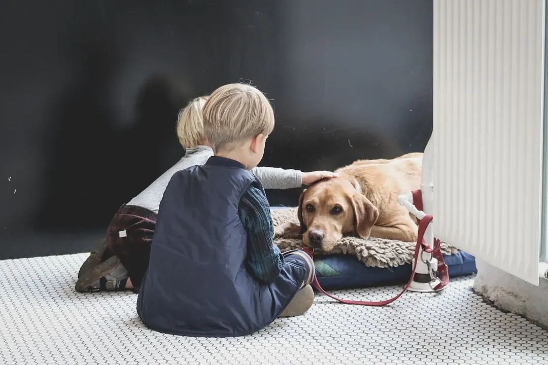#10 - They Give Kids a Safe Place to Practice Nurturing (Image Credits: Unsplash)